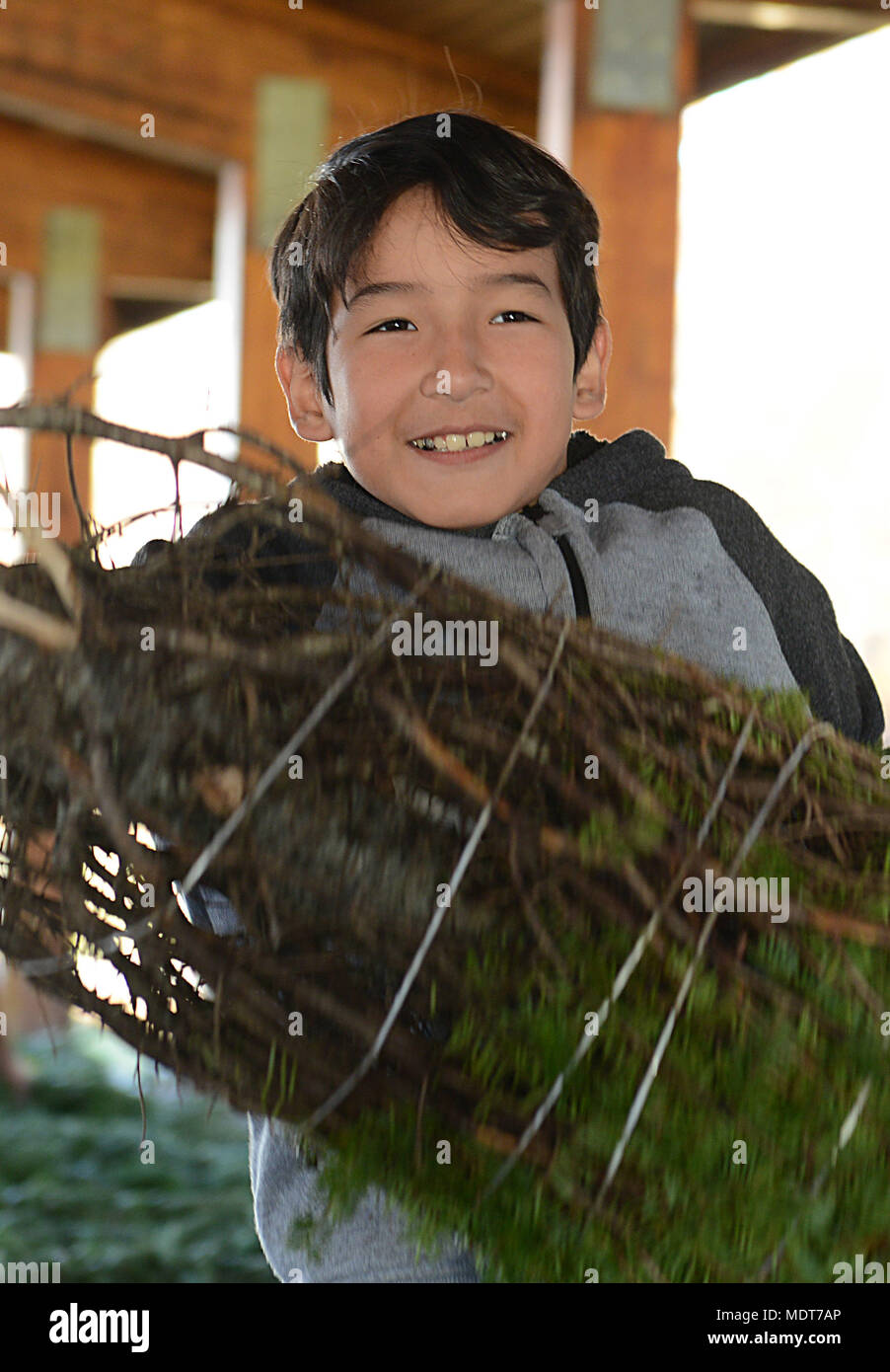 Maverick Jimenez, l'âge de neuf ans, fils de l'Adjudant-chef de l'armée américaine 2 Angel Jimenez, 7e brigade expéditionnaire (transport), choisit un arbre pour sa famille au cours de l'esprit de Noël Arbres de la Fondation pour les troupes au programme Joint Base Langley-Eustis, en Virginie, le 1er décembre 2017. En moins de 30 minutes, tous les 175 livré à Fort Eustis avait été donné à un service actif et les membres de leur famille. (U.S. Photo de l'Armée de l'air par le sergent. Teresa J. Cleveland) Banque D'Images