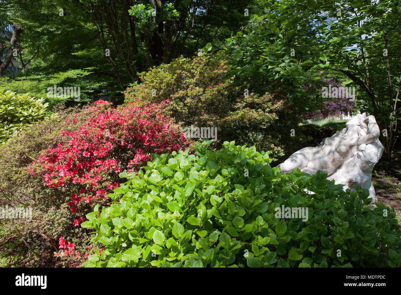 France, Clichy-la-Garenne, parc Roger Salengro, notice de copyright : CRT PIdF Banque D'Images