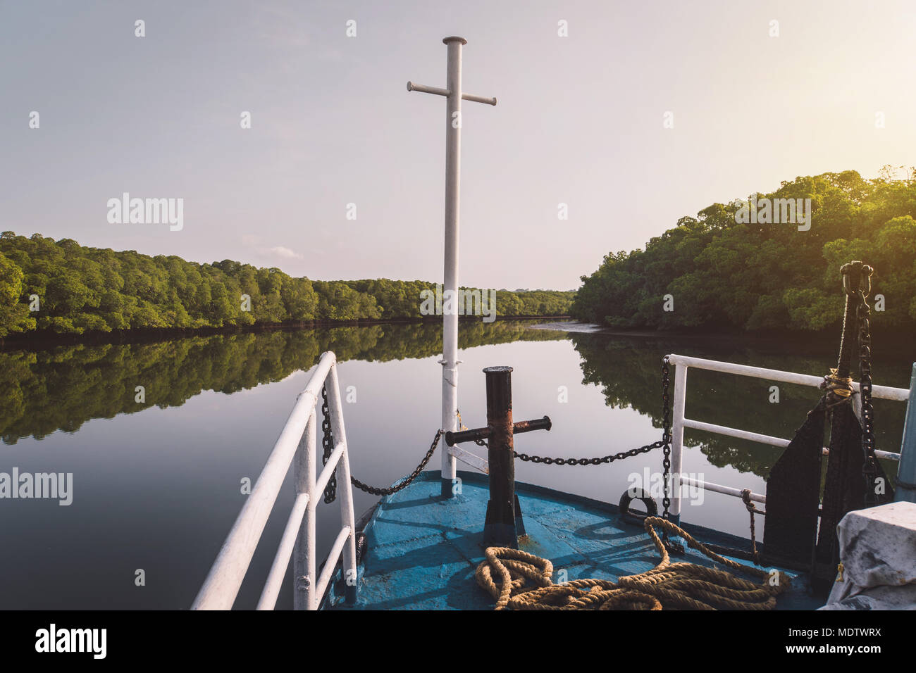 Le nez du bateau. Les palétuviers. Rio Lagartos, Yucatan, Mexique. Le soleil se couche derrière les mangroves. matin, l'aube au coucher du soleil Banque D'Images