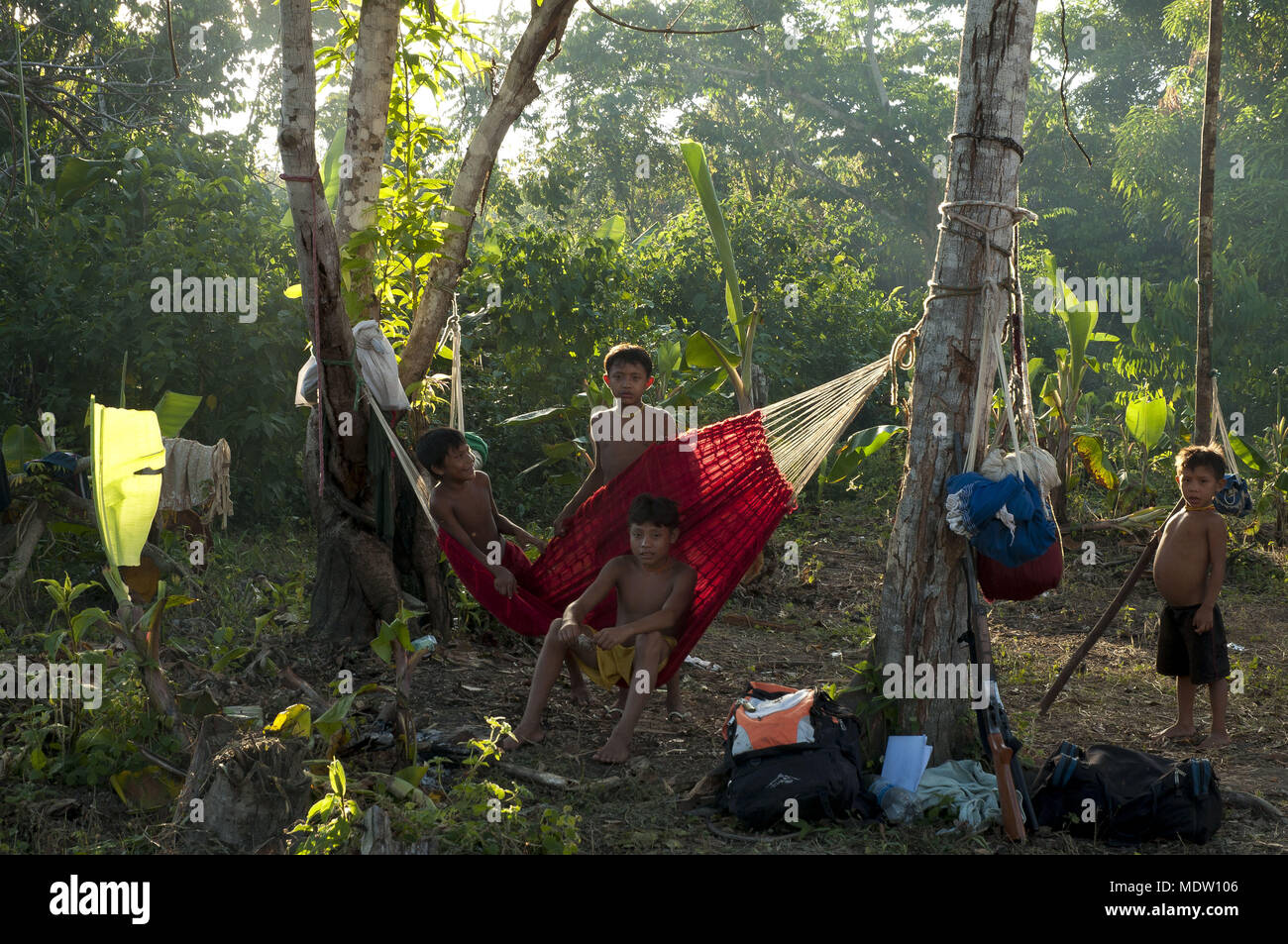 Les enfants de la communauté ethnique Yanomami Toototobi réseautage allongé dans les bois Banque D'Images