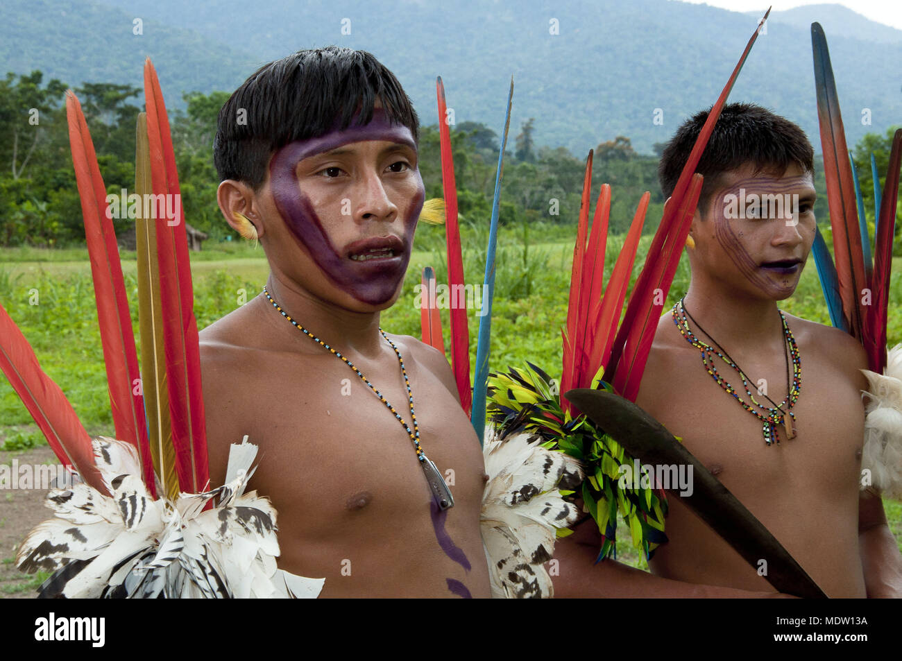 Les adolescents Yanomami orné de plumes d'ara et de peinture et perruche - Village de châtaigner Banque D'Images