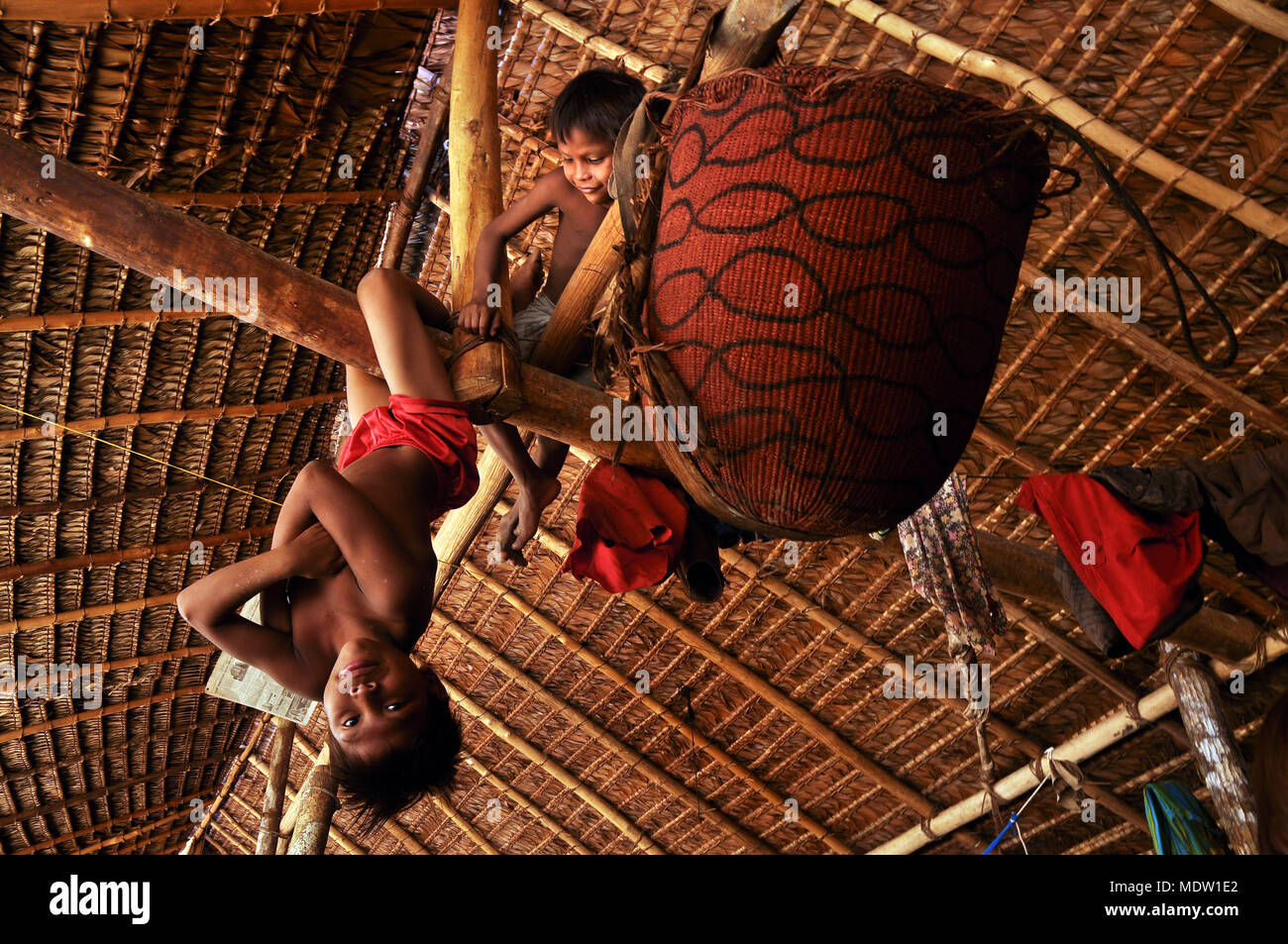 Les enfants de la Communauté Yanomami Marari perché sur la structure de la maison longue Banque D'Images
