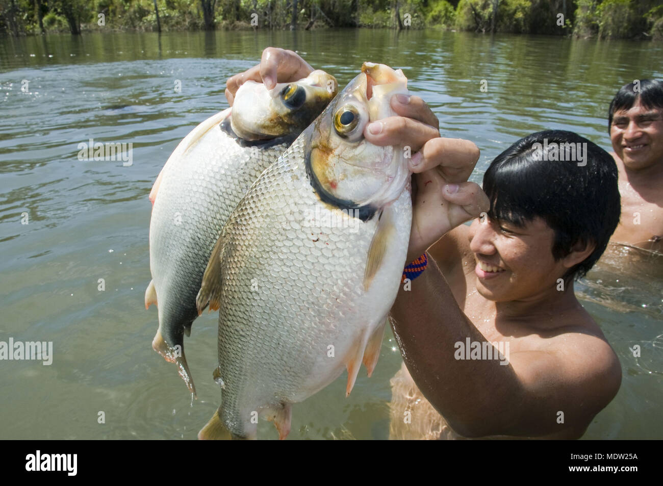 Kalapalo pêche indiens avec net dans le lac Kusse - Village Aiha - Parc indigène du Xingu Banque D'Images