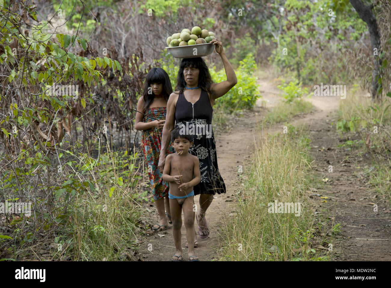 La mère et les enfants dans le village Aiha Kalapalo pequis récolte Banque D'Images