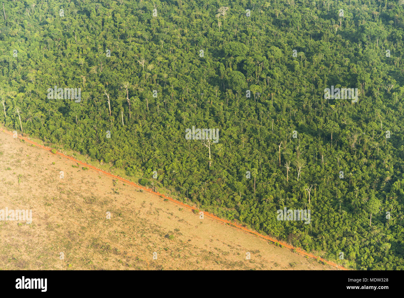 Vue aérienne de la forêt amazonienne superficie défrichée pour pâturage Banque D'Images
