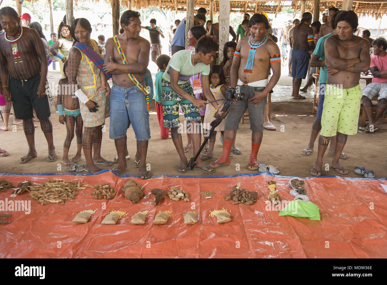 Échange équitable les semences traditionnelles dans Moikarako Kayapo village groupe ethnique avec la participation d'autres villages Kayapó et Krahô Banque D'Images