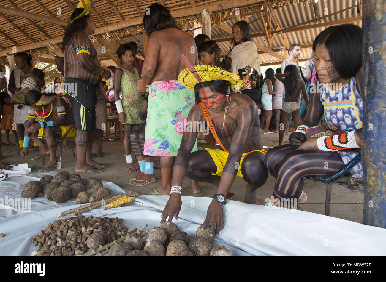 Échange équitable les semences traditionnelles dans Moikarako Kayapo village groupe ethnique avec la participation d'autres villages Kayapó et Krahô Banque D'Images