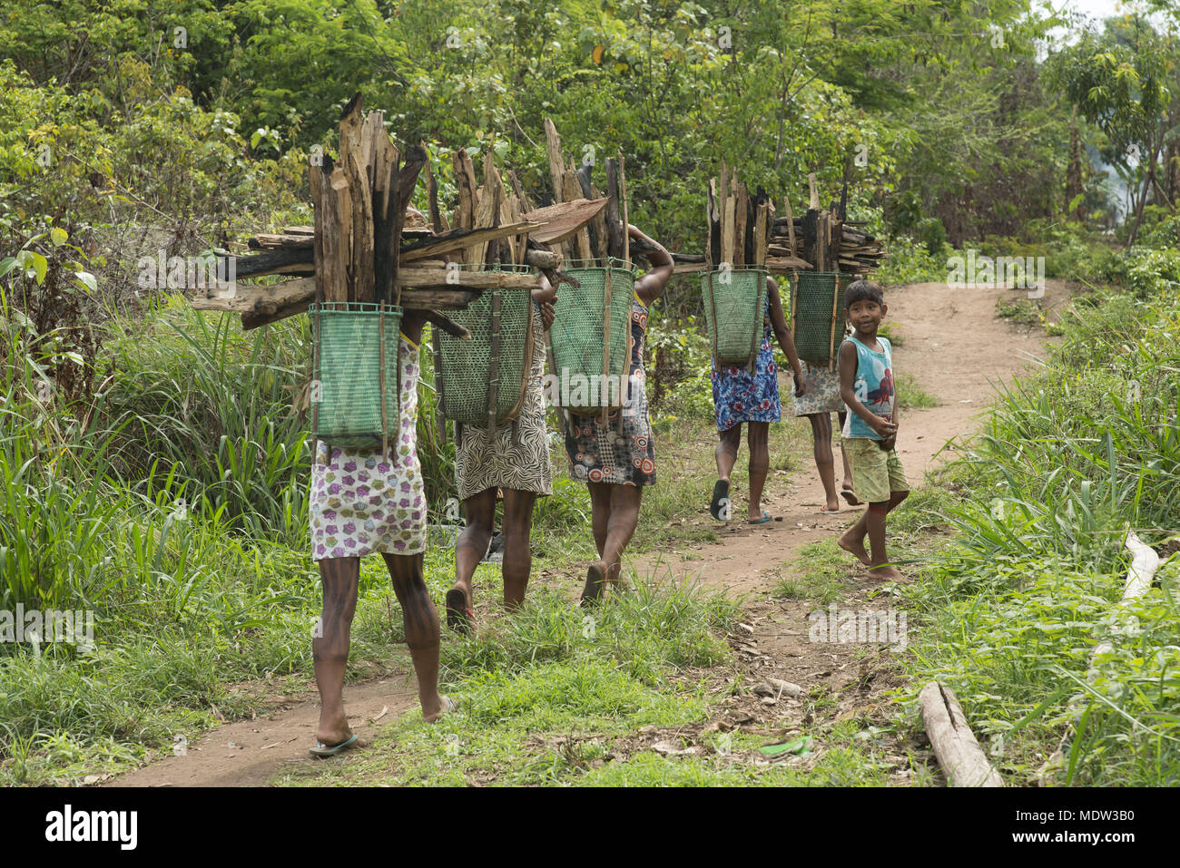 Village indien Kayapo Moikarako transporter le bois pour la cuisson en balaio appuyé sur le front Banque D'Images