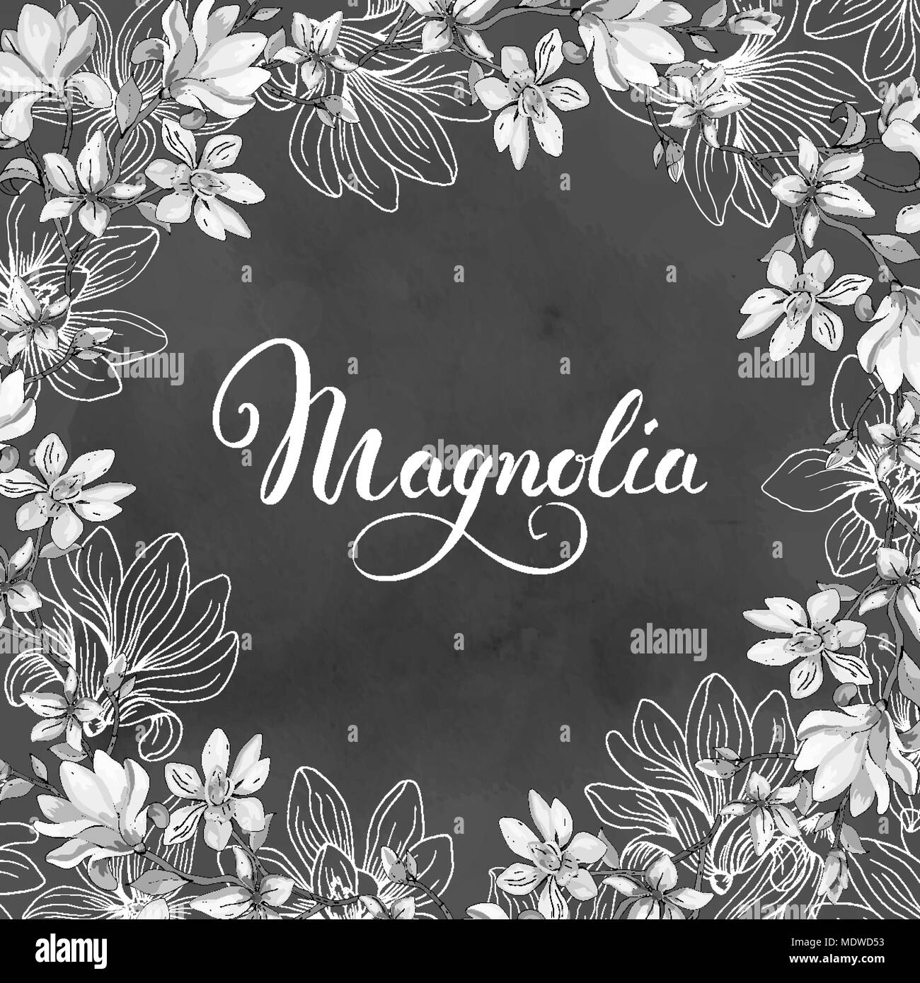 Carte de voeux avec des fleurs de Magnolia. Floral background. Vector illustration. Illustration de Vecteur