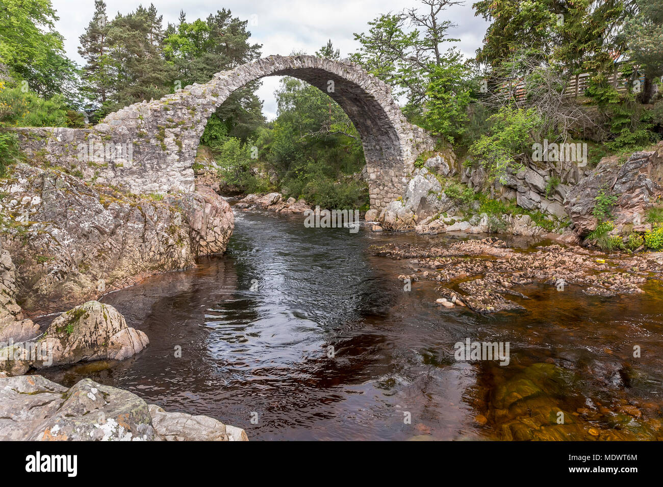 Une vue de l'ancien pont à cheval dans les montagnes écossaises Carrbridge Banque D'Images