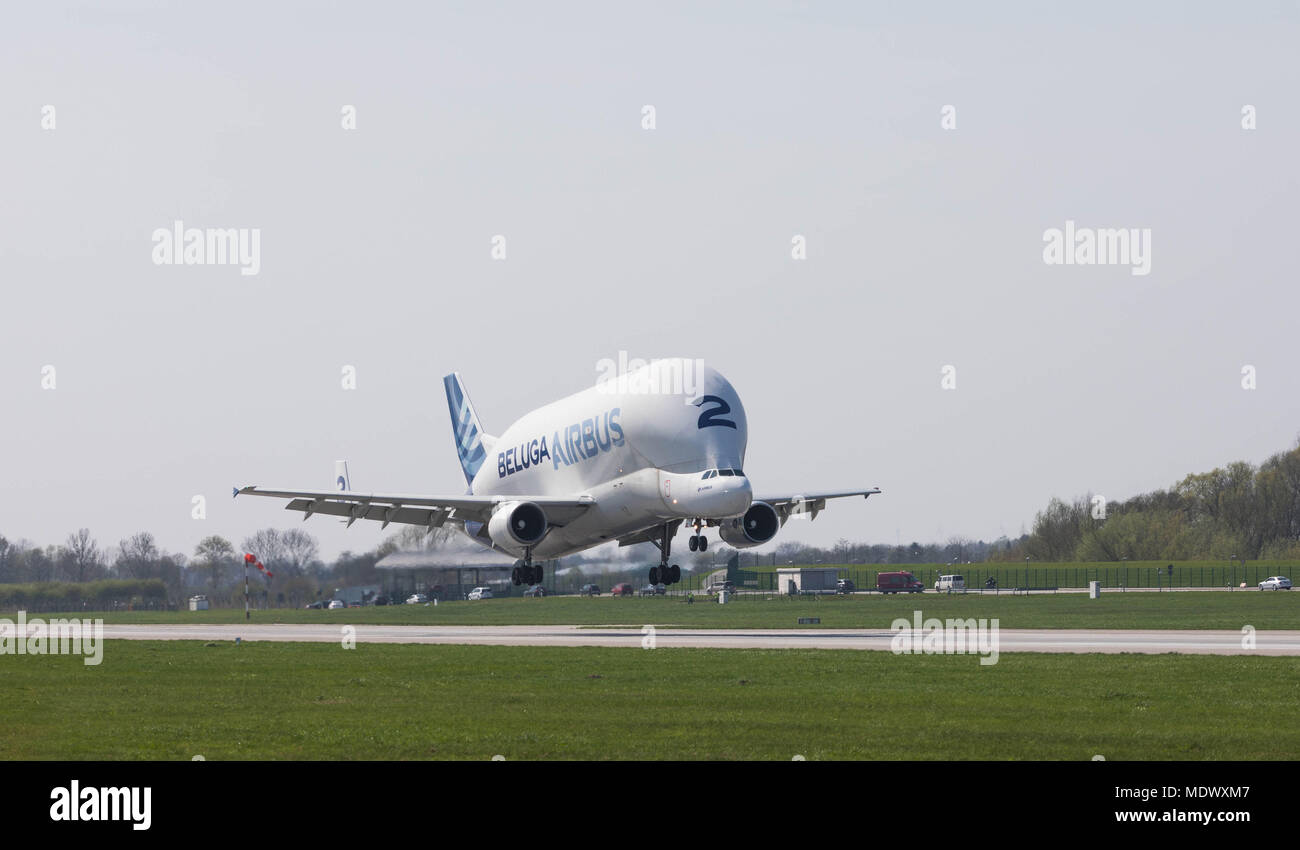 Hambourg, Allemagne - 17 Avril 2018 : Airbus A300-600ST Beluga numéro 2 à l'atterrissage à l'usine Airbus à Hambourg Finkenwerder Banque D'Images