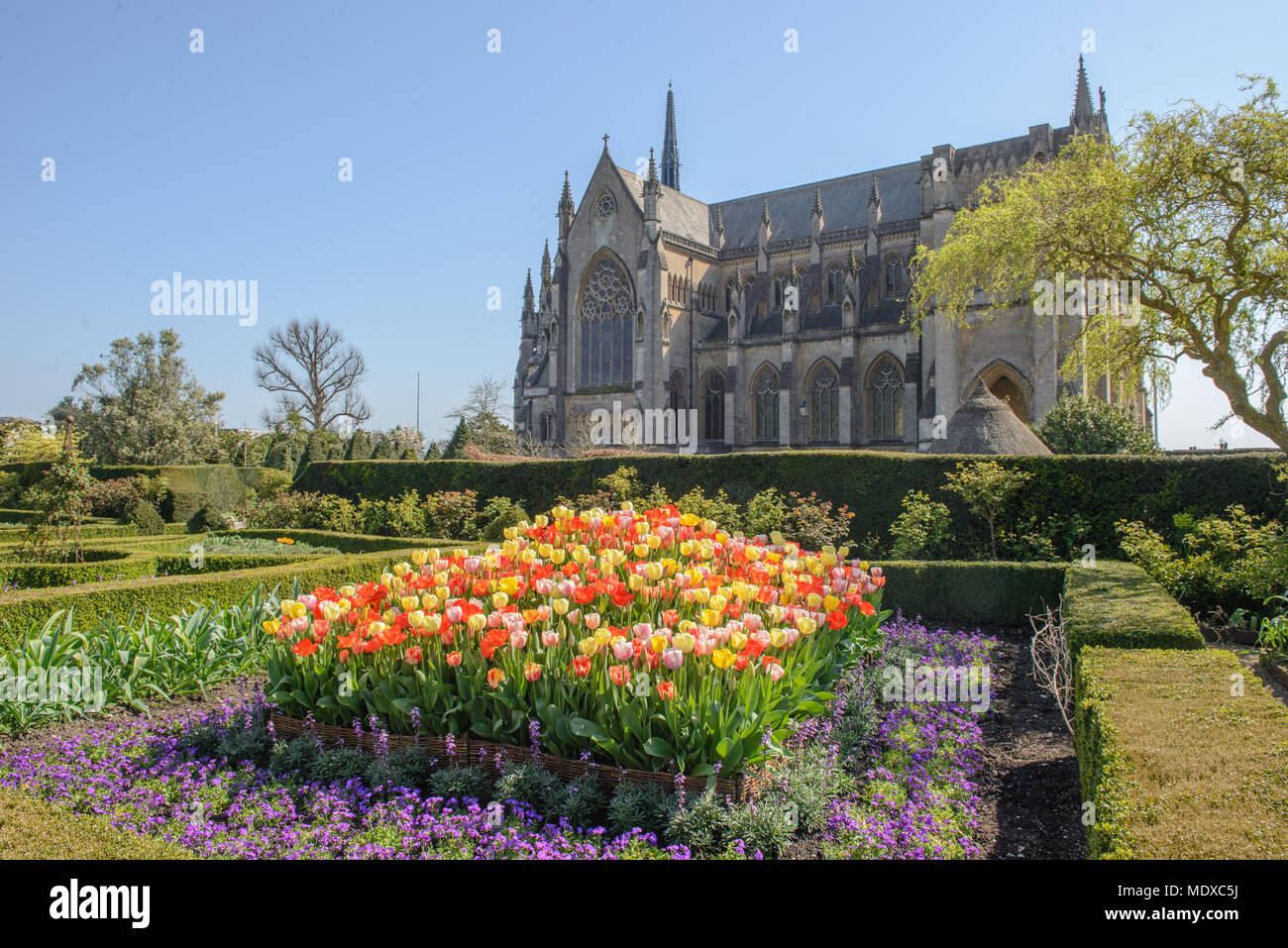 West Sussex, UK. 20 avril, 2018. À partir de mi-avril à début mai, Arundel Castle est l'endroit idéal pour les amateurs de tulipes au cours de cette période, plus de 60 000 tulipes seront fleurissent dans les magnifiques jardins du château aux visiteurs l'une des plus impressionnantes tulip s'affiche dans le pays. Une large gamme de variétés de tulipes sera en fleur au Château créer une explosion de couleurs tout au long de son vaste jardin clos. Credit : Jonathan Ward/Alamy Live News Banque D'Images