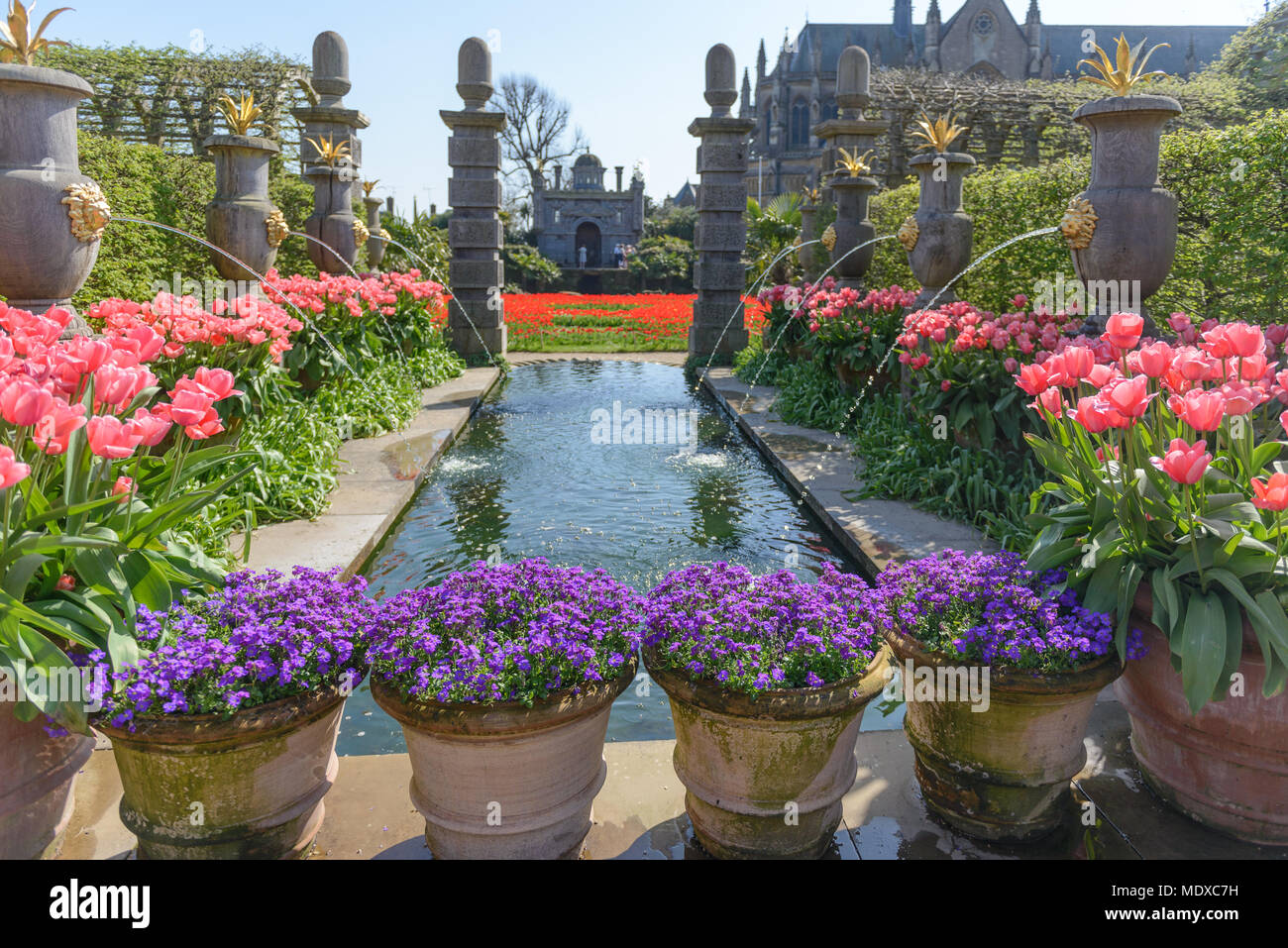 West Sussex, UK. 20 avril, 2018. À partir de mi-avril à début mai, Arundel Castle est l'endroit idéal pour les amateurs de tulipes au cours de cette période, plus de 60 000 tulipes seront fleurissent dans les magnifiques jardins du château aux visiteurs l'une des plus impressionnantes tulip s'affiche dans le pays. Une large gamme de variétés de tulipes sera en fleur au Château créer une explosion de couleurs tout au long de son vaste jardin clos. Credit : Jonathan Ward/Alamy Live News Banque D'Images