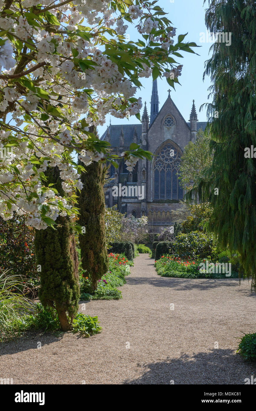 West Sussex, UK. 20 avril, 2018. À partir de mi-avril à début mai, Arundel Castle est l'endroit idéal pour les amateurs de tulipes au cours de cette période, plus de 60 000 tulipes seront fleurissent dans les magnifiques jardins du château aux visiteurs l'une des plus impressionnantes tulip s'affiche dans le pays. Une large gamme de variétés de tulipes sera en fleur au Château créer une explosion de couleurs tout au long de son vaste jardin clos. Credit : Jonathan Ward/Alamy Live News Banque D'Images