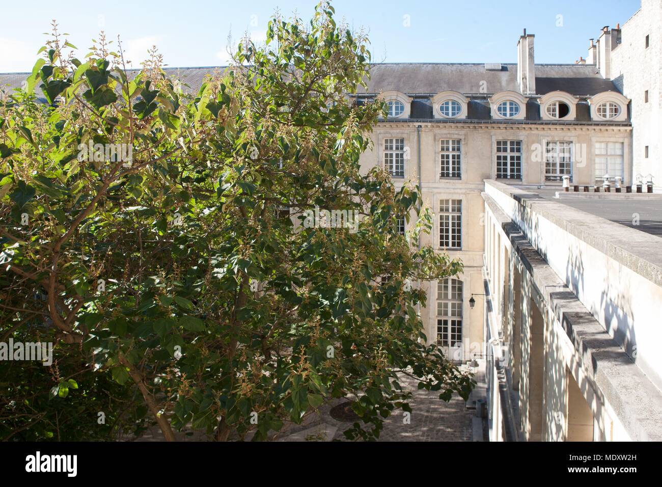 Paris, 14 rue Charlemagne, lycee Charlemagne, vue sur la cour de l'ancienne bibliothèque, Banque D'Images