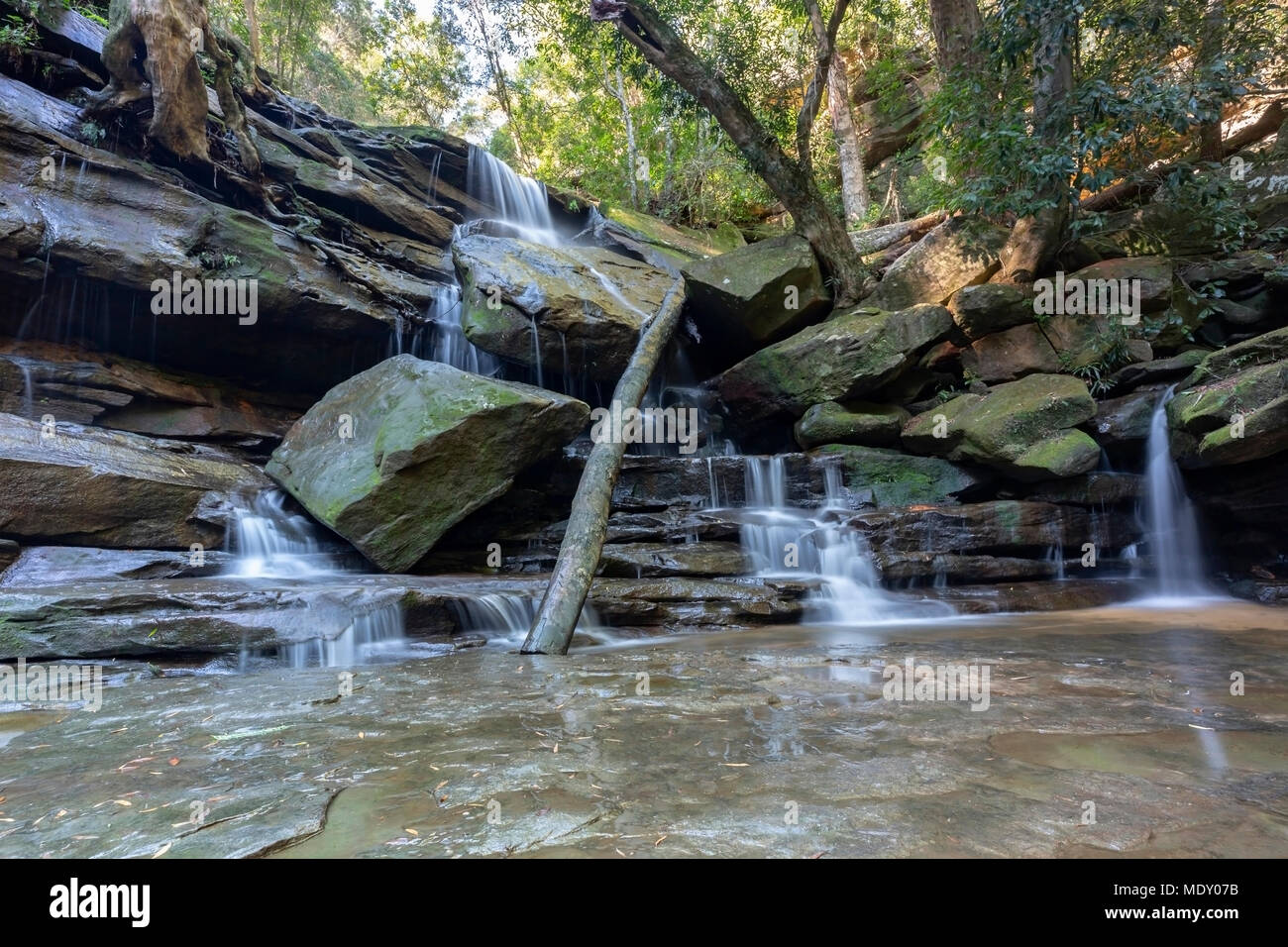 Somersby cascade Falls, Gosford, New South Wales, Australie Banque D'Images