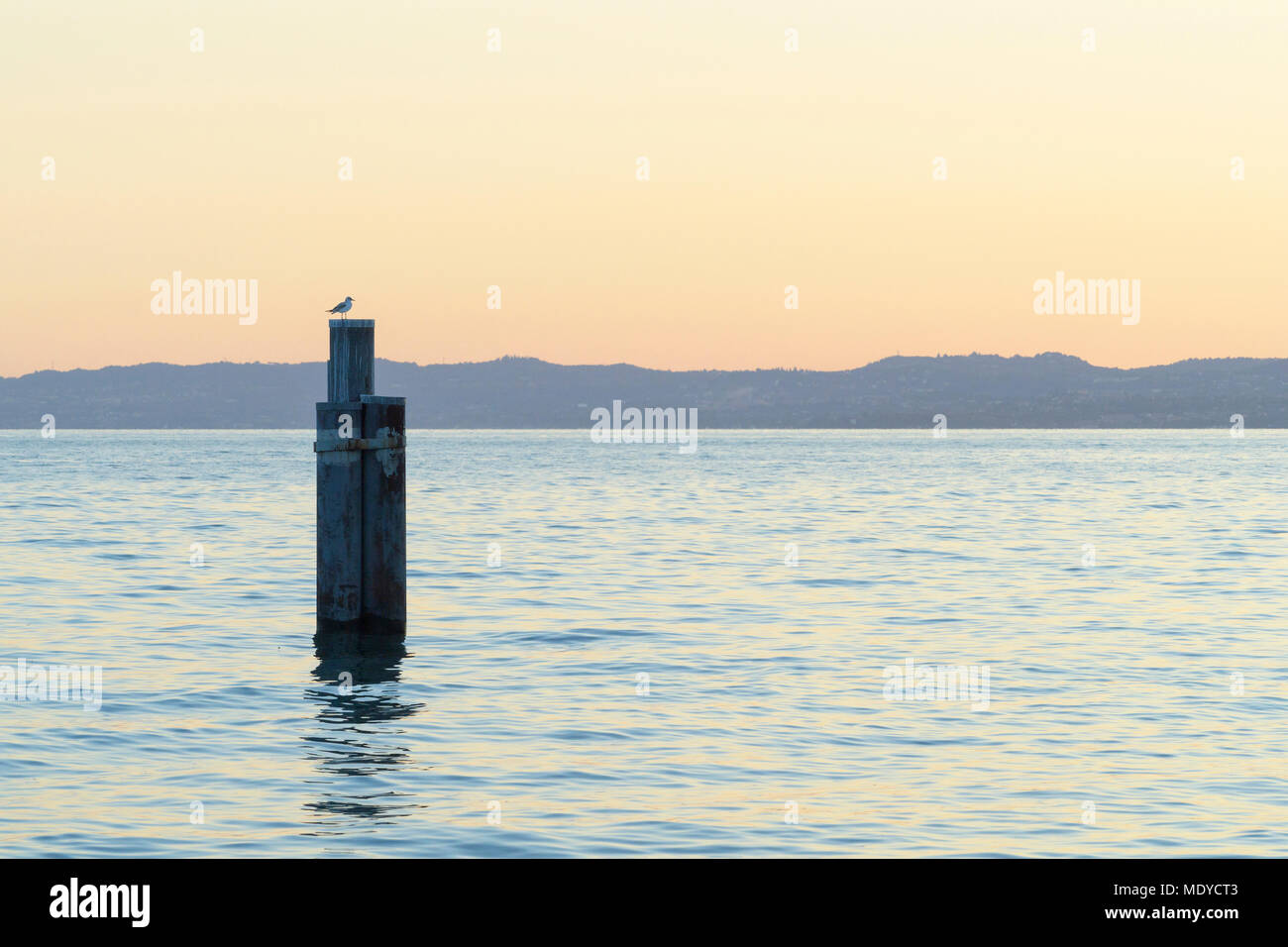 Sur Gull d' bateau poster au crépuscule sur le lac de Garde (Lago di Garda) à Garda en Vénétie, Italie Banque D'Images