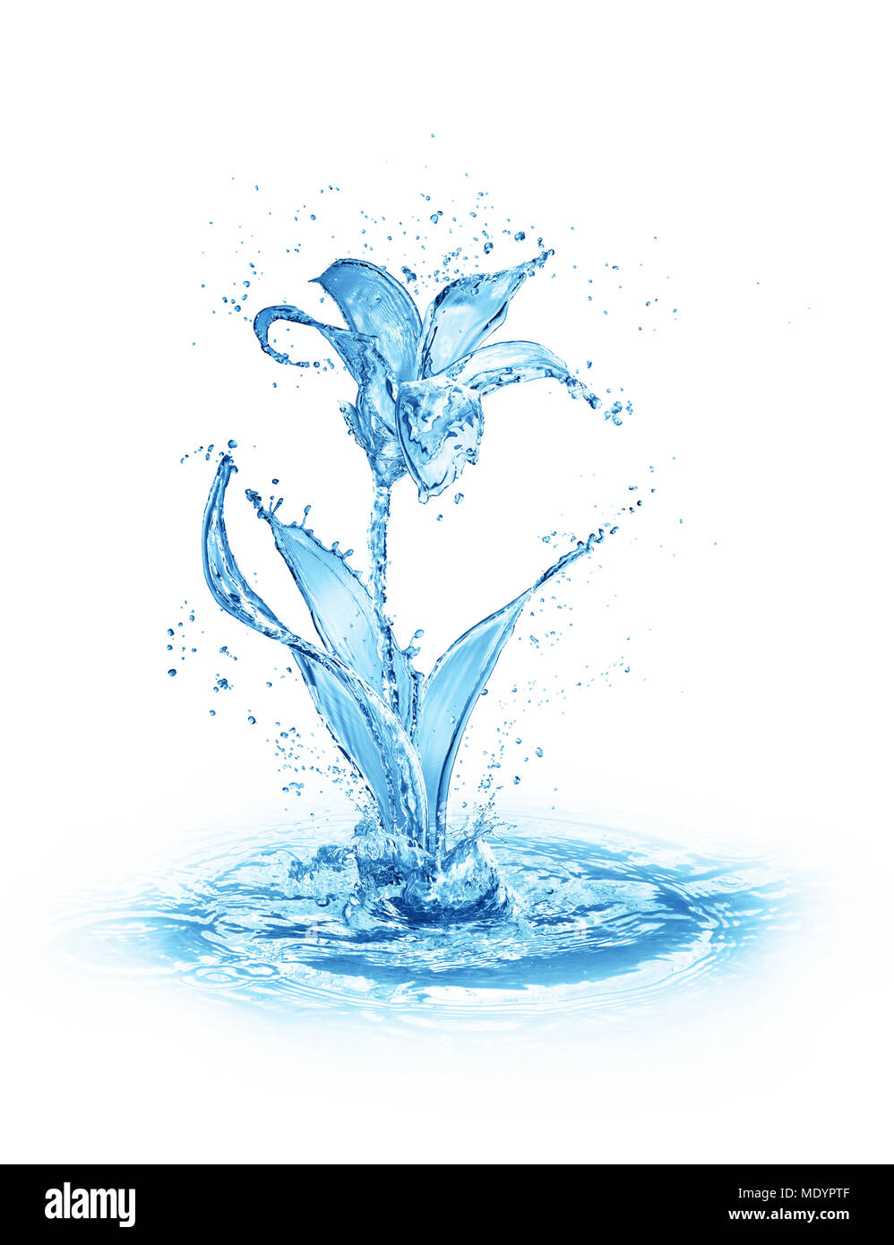 Forme de fleur faite de projections d'eau isolé sur fond blanc Banque D'Images