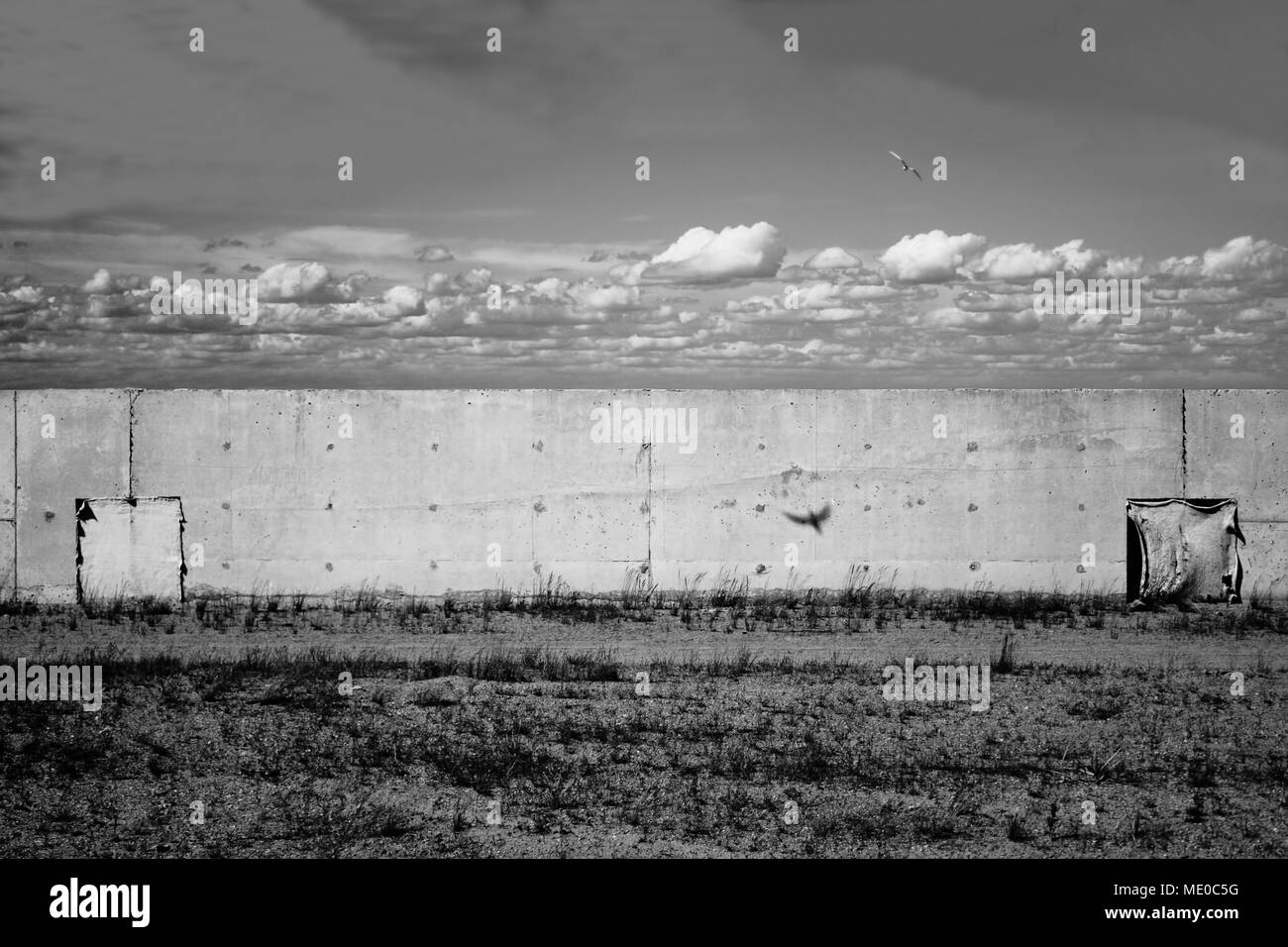 Mur de béton placé sur terrain et en flying swallow ciel avec son ombre sur le mur. Noir et blanc urban concept de liberté et de possibilité. Banque D'Images