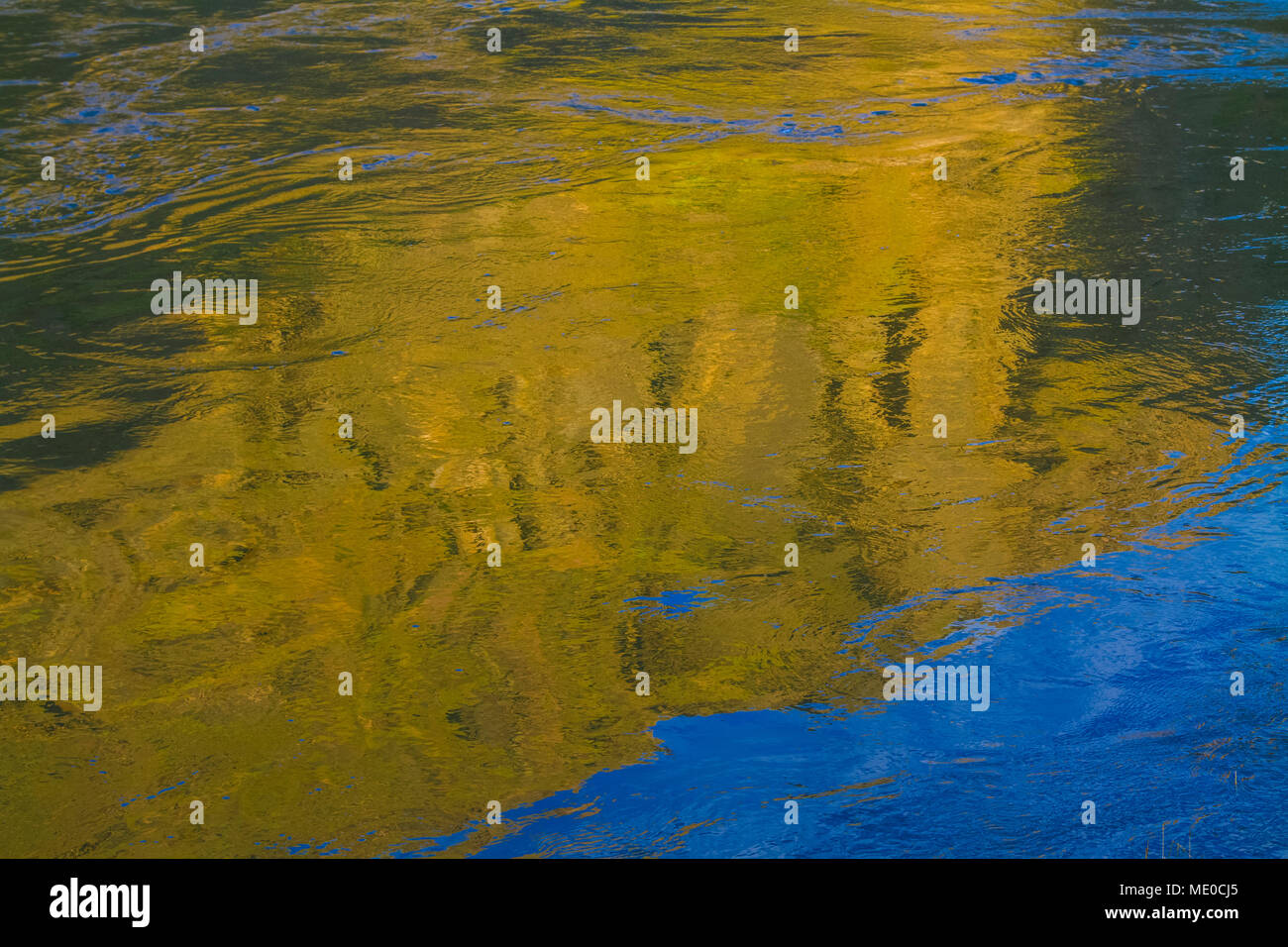 Réflexions, Hells Canyon, Snake River, gorges les plus profondes d'Amérique du Nord (2400 m), forme la frontière de l'Idaho et l'Oregon. Norton a dirigé le photographe Banque D'Images