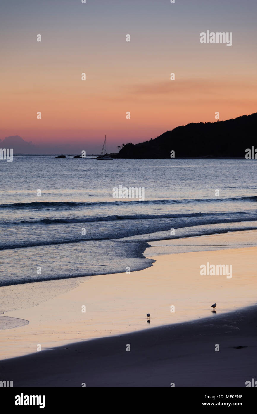 Vue panoramique sur la plage de surf avec deux bécasseaux à Byron Bay en Nouvelle Galles du Sud, Australie Banque D'Images