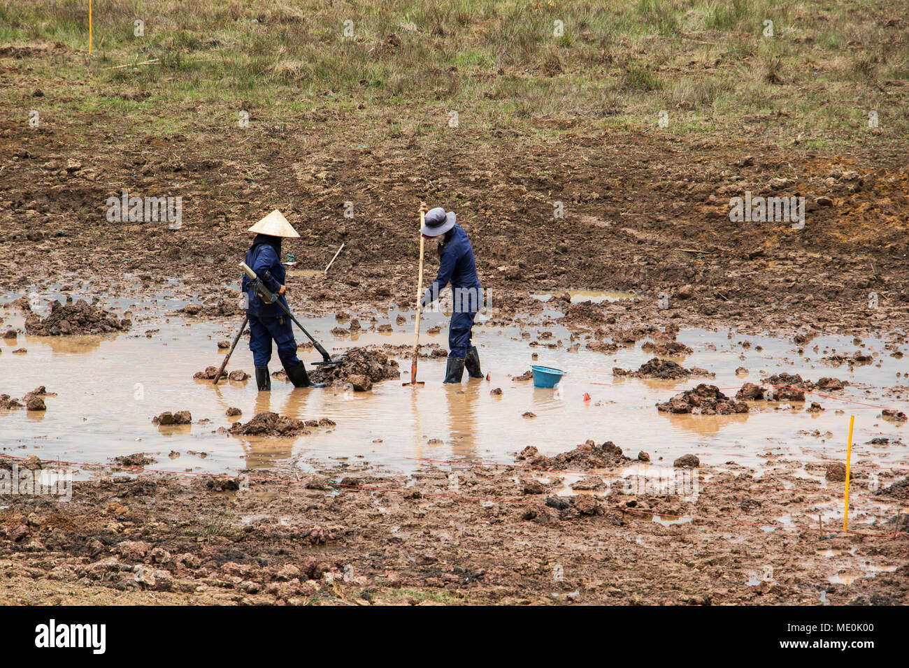 Les femmes utilisant un détecteur de métal tandis que l'enlèvement de mines terrestres dans un champ près de Phonsavan ; Xiangkhouang, Laos Banque D'Images