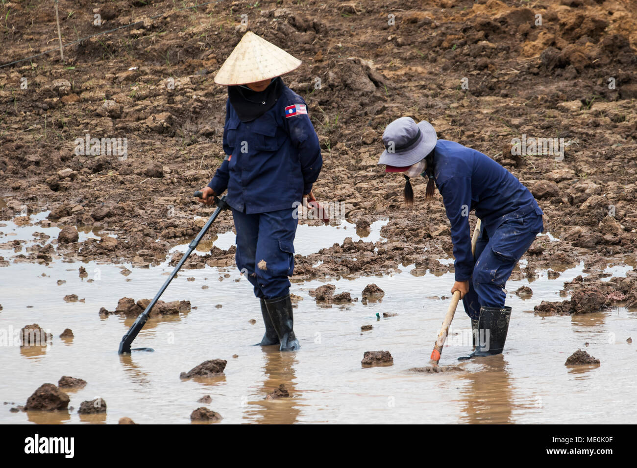 Les femmes utilisant un détecteur de métal tandis que l'enlèvement de mines terrestres dans un champ près de Phonsavan ; Xiangkhouang, Laos Banque D'Images