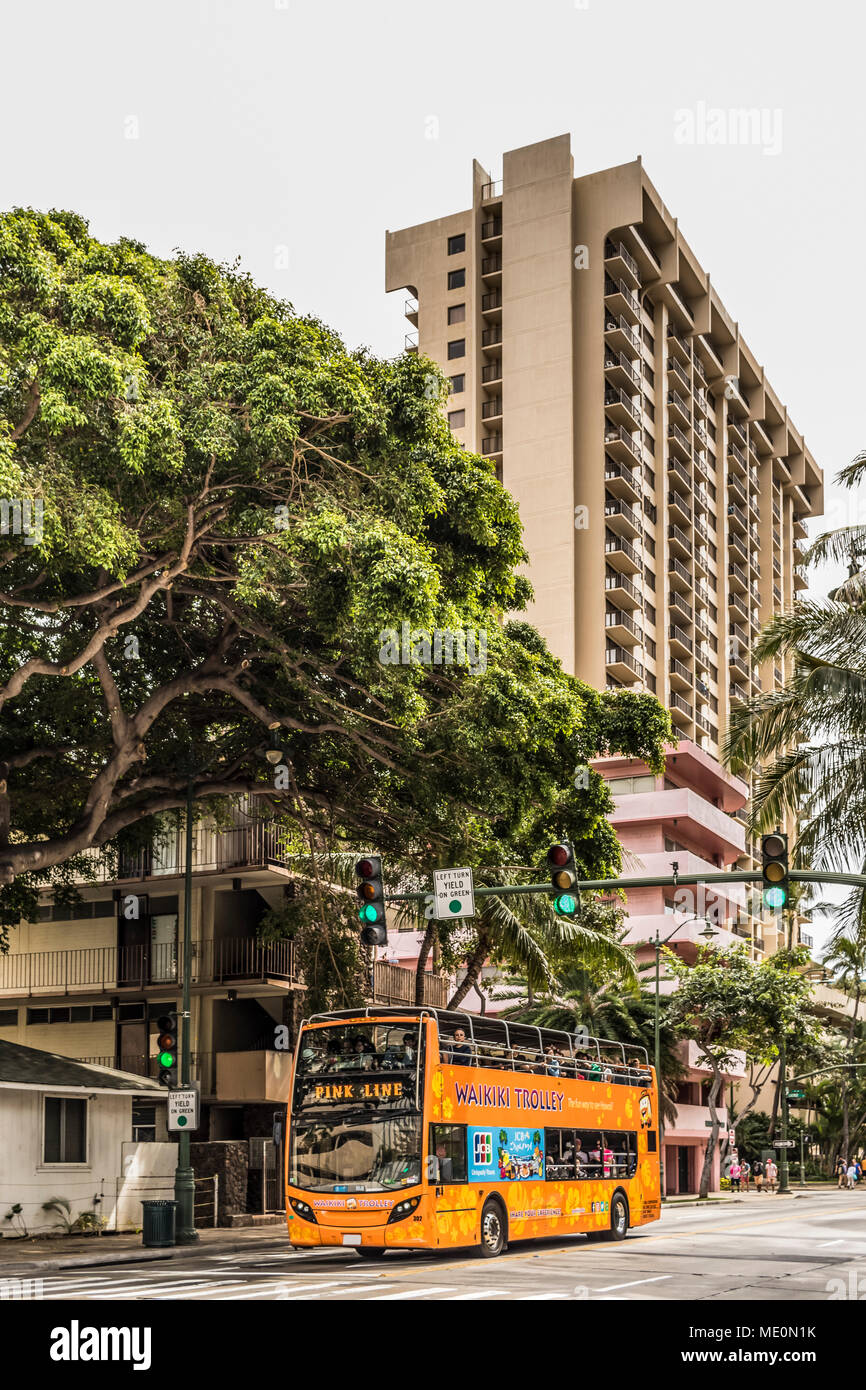 Une ligne rose Waikiki Trolley roule sur Kuhio Avenue, près de l'intersection avec la rue Launiu ; Honolulu, Oahu, Hawaii, United States of America Banque D'Images