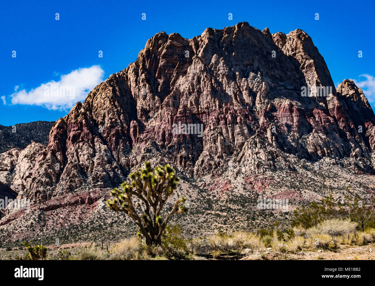 Red Rock Canyon National Conservation Area, nevada Banque D'Images