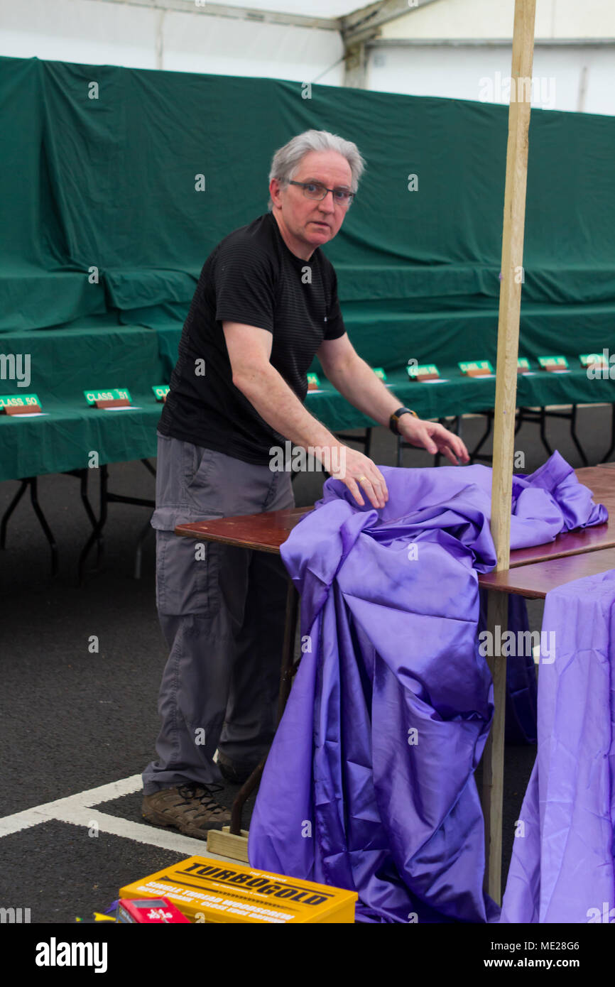 20 avril 2018 Membres de l'Irlande du Nord du bâtiment de la société Bonsai leurs présentoirs pour le Festival du printemps à Barnet Belfast's Demesne en Bel Banque D'Images