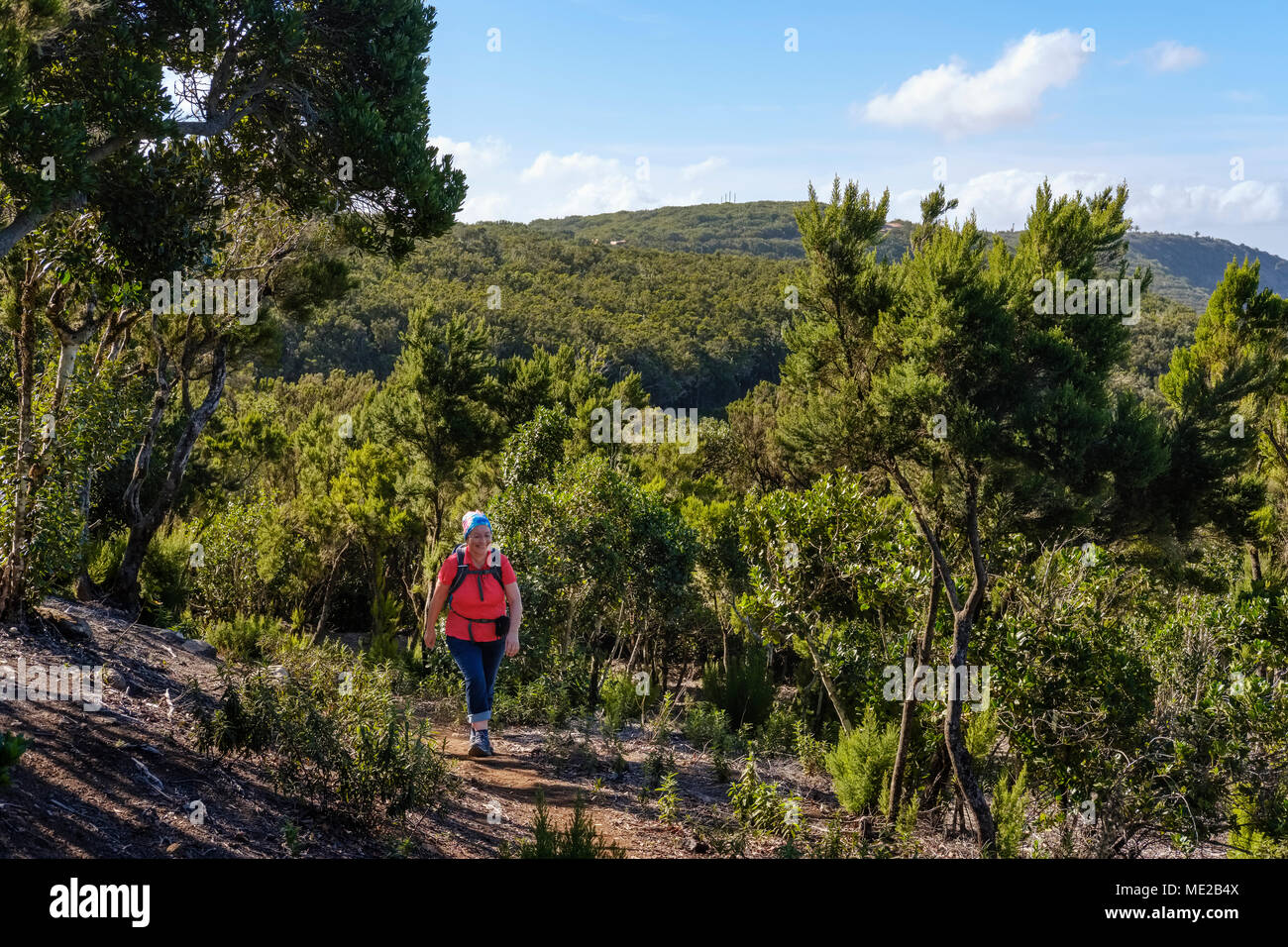Femme sur sentier à Los Barranquillos, près de Vallehermoso, le Parc National de Garajonay, La Gomera, Canary Islands, Spain Banque D'Images Femme sur sentier à Los Barranquillos, près de Vallehermoso, le Parc National de Garajonay, La Gomera, Canary Islands, Spain Banque D'Images