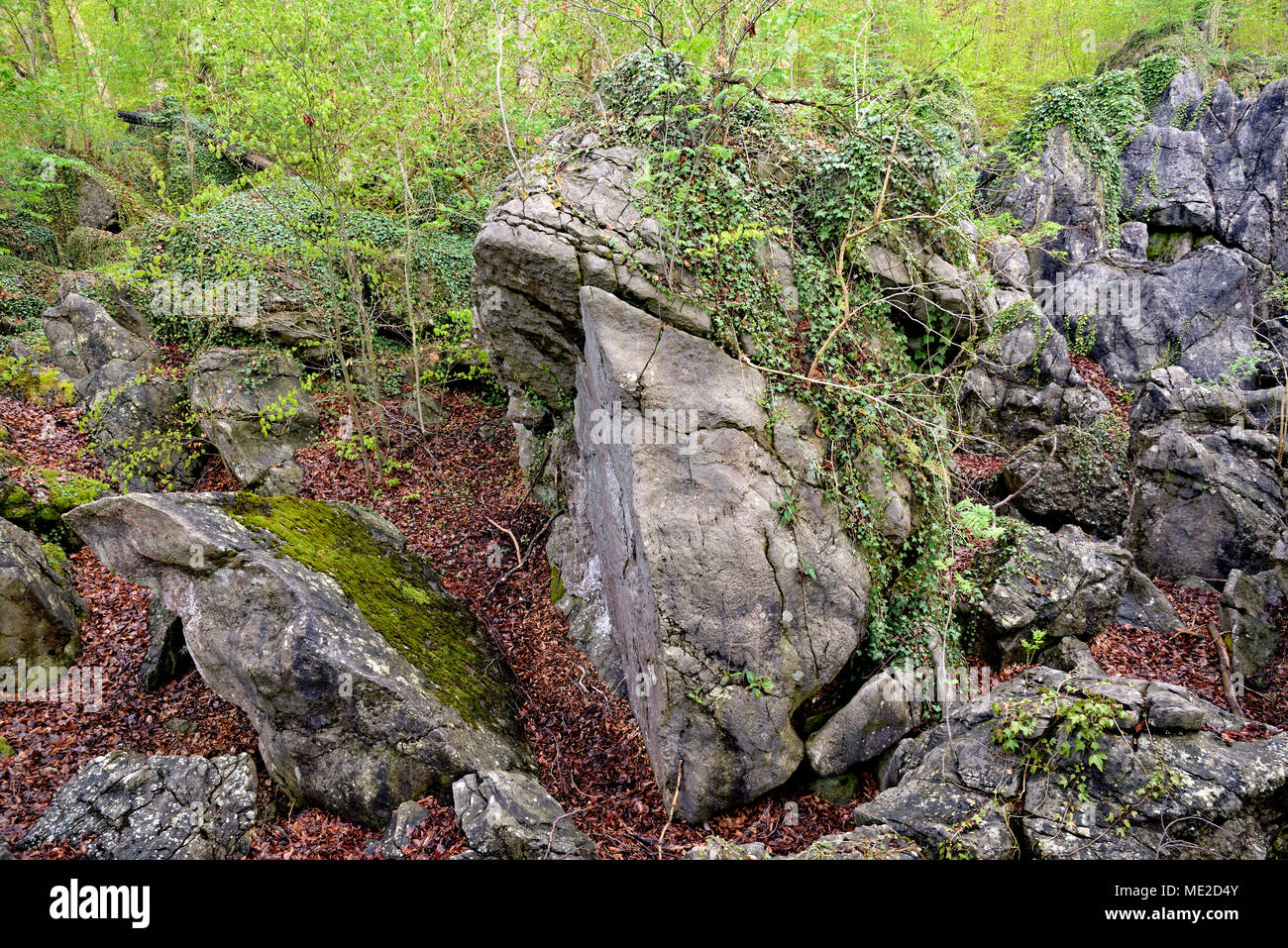 Réserve de la nature mer rocheux au printemps, des blocs de roche résistante, Rhénanie du Nord-Westphalie, Allemagne Banque D'Images