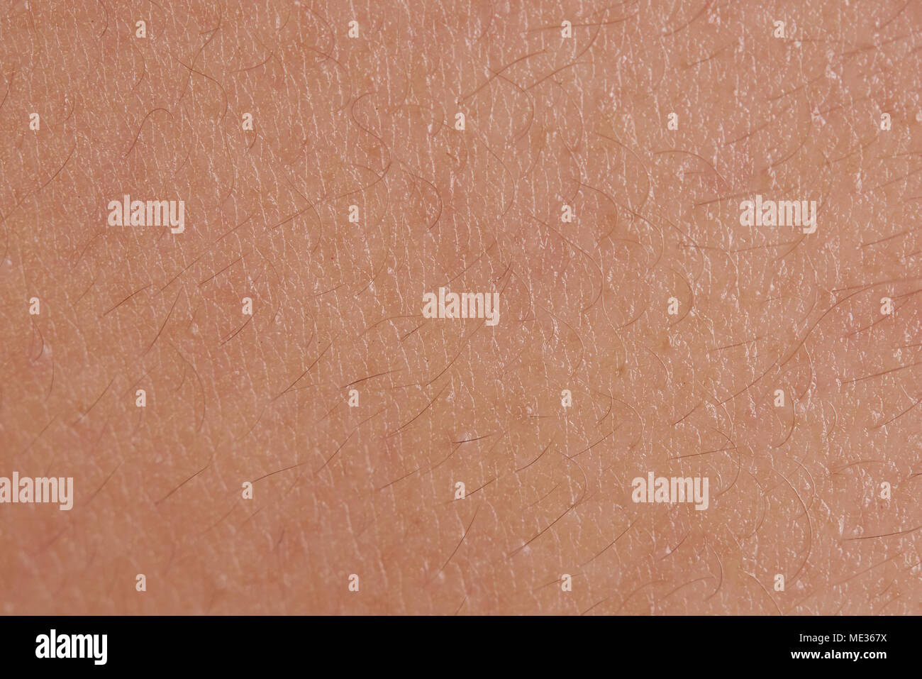 La texture de la peau humaine avec de petites macro close up de cheveux Banque D'Images