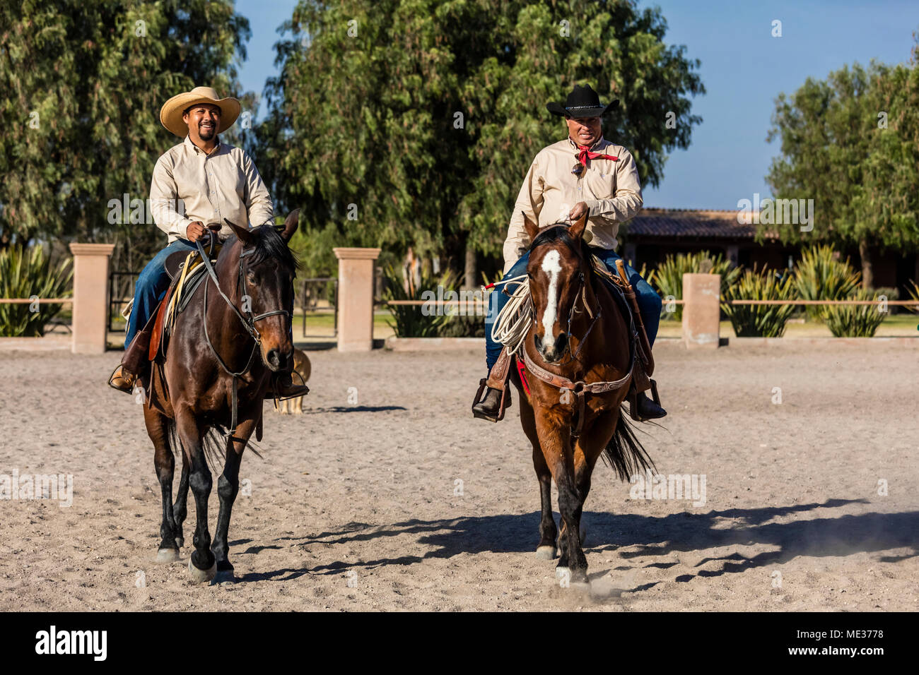 Un caballeros monter des chevaux au RANCHO DEL SOL DORADO - San Miguel de Allende, Mexique Banque D'Images