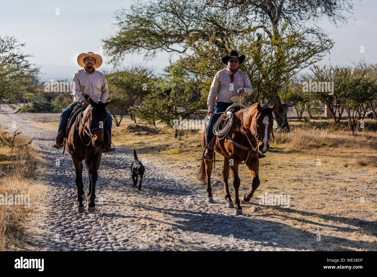 Un caballeros monter des chevaux au RANCHO DEL SOL DORADO - San Miguel de Allende, Mexique Banque D'Images