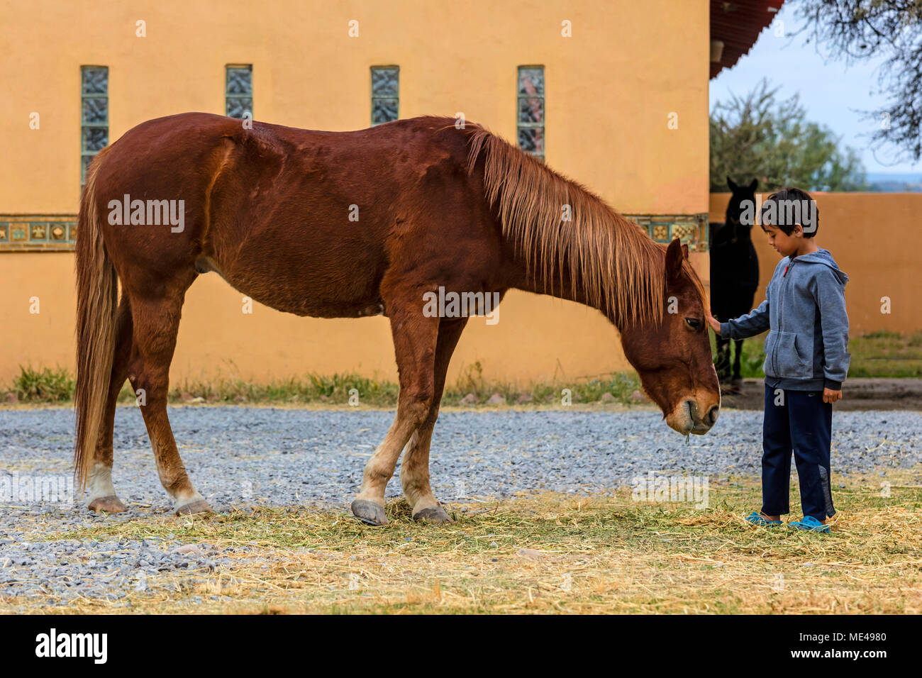 Un jeune garçon avec un cheval lusitanien à la Granja Las Animas Ranch - San Miguel de Allende Mexique Banque D'Images