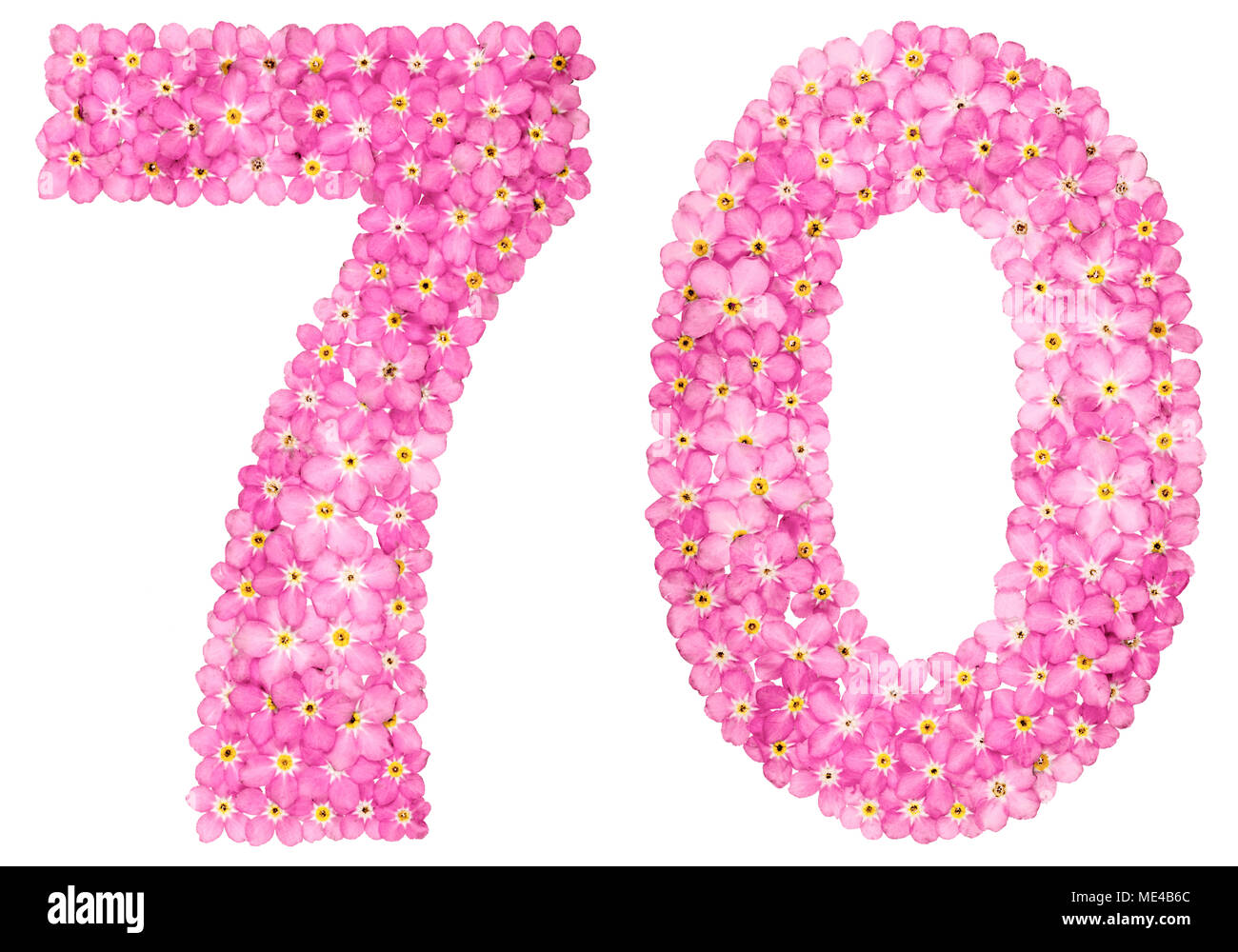 Chiffre arabe 70, soixante-dix, du rose forget-me-not fleurs, isolé sur fond blanc Banque D'Images