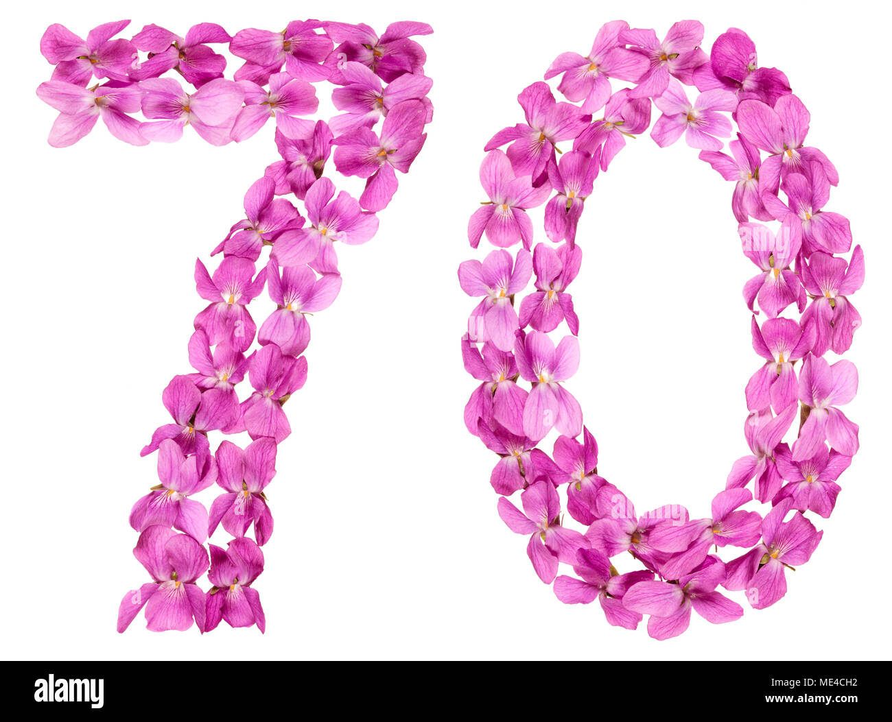 Chiffre arabe 70, soixante-dix, des fleurs de viola, isolé sur fond blanc Banque D'Images