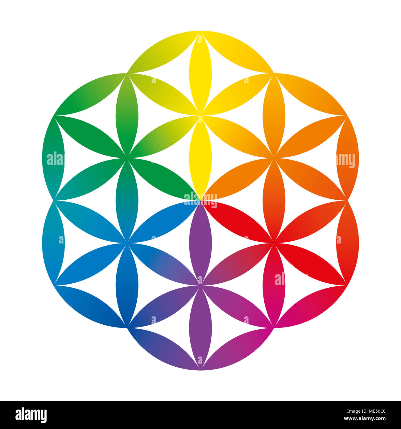 De couleur arc-en-ciel la moitié d'une fleur de vie. La figure géométrique composé de plusieurs cercles se chevauchant, formant une fleur comme motif. Banque D'Images