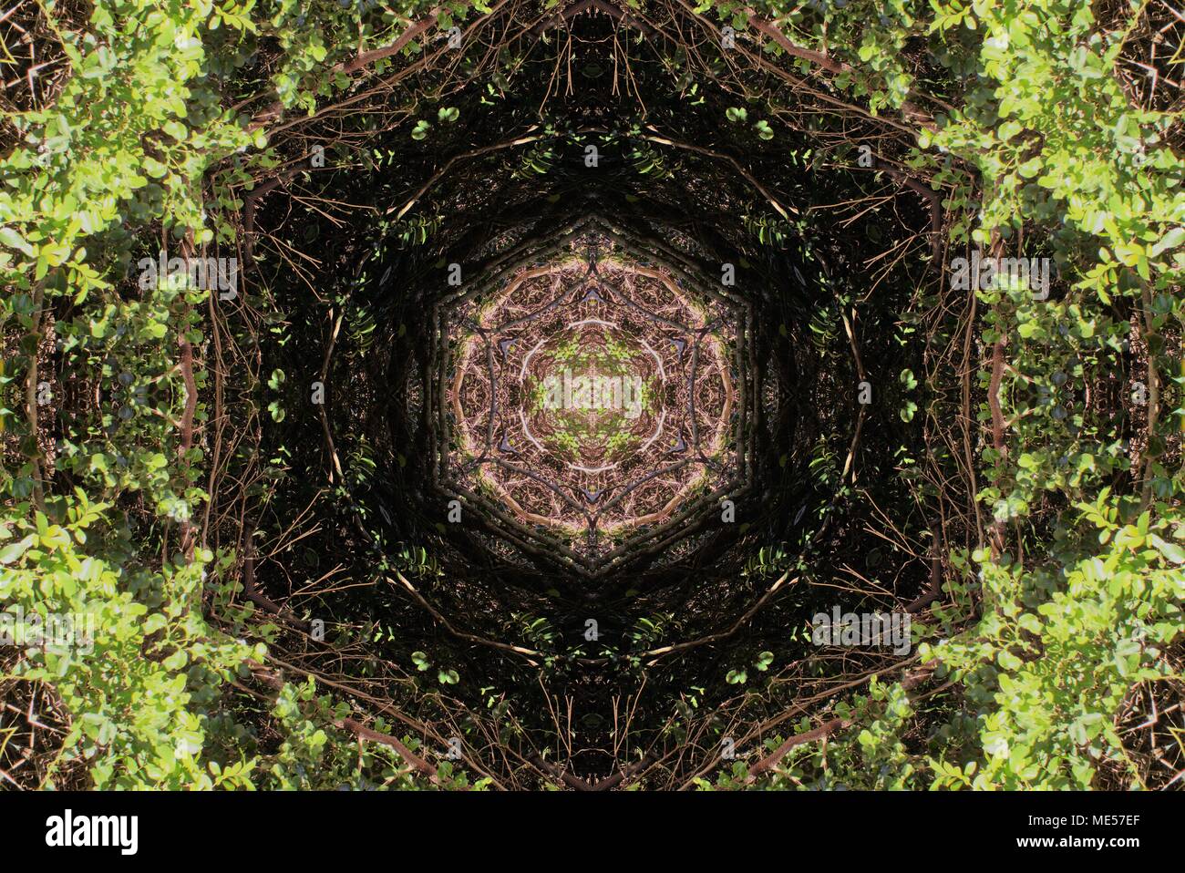 Vert Noir kaléidoscopique nature motif de feuilles d'arrière-plan Banque D'Images