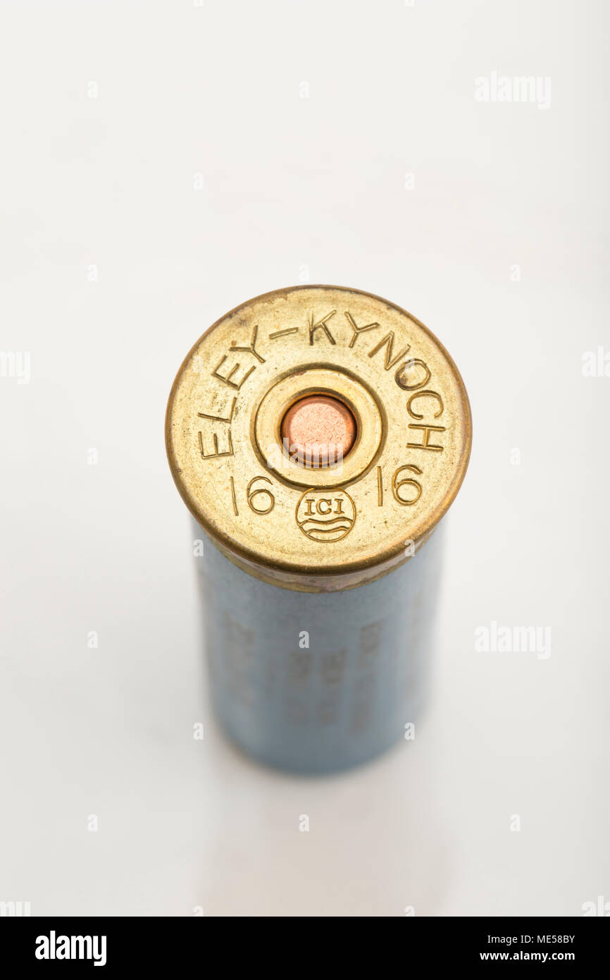 Ancienne Eley-Kynoch 16 alésage-cased papier cartouche de fusil montrant de polymérisation. UK Banque D'Images