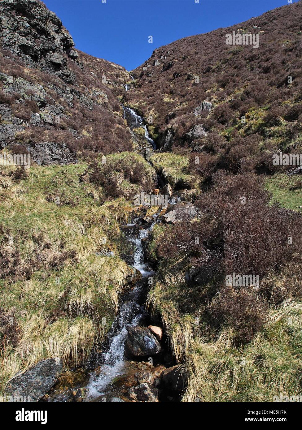 Le Râteau Beck itinéraire par Herdus Scaw, Grande Borne, Parc National de Lake District, Cumbria, Royaume-Uni Banque D'Images