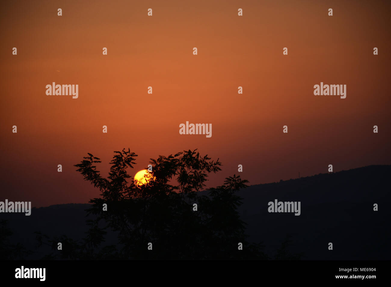 Les scènes de nature croate. Coucher de soleil dans la ville de Motovun, Istra. Banque D'Images