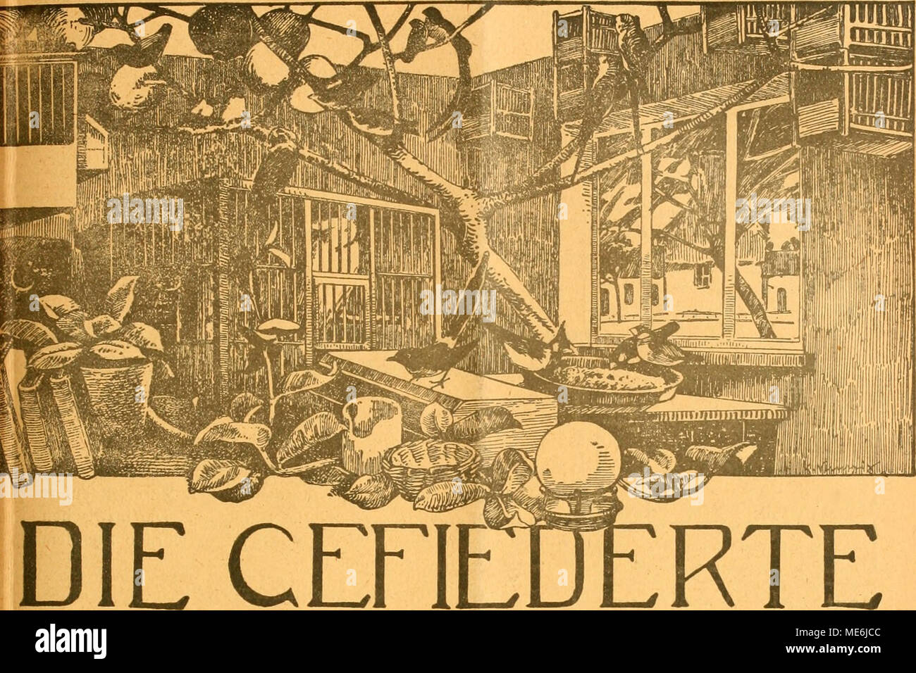 . Die Welt Gefiederte . CEFIE WOCHENSCHRIFT FÜR DIE WELT -V06ELLIEBHABER-- Begründet von Dr K. RUSS. Herausgegeben von Karl Neunzig dans Hermsdorf bei Berlin. INHALT : Ein Chapitre über Einzel- und Gesellschaftskäfigung. Von Einj.-Unteroffizier Karl Zinne (im Felde). (Schluß.) Käfigvögel au Mexique. Von Gehlsen. (Schluß.) un Zugvögeln Vom Massenmord unseren. Johannes von Müller, Gerings- walde i. S.. iSchluß) Vom Optimize. Von Landsturmmann H. Fritzen. Kleine Mitteilungen. - Vogelschutz. - Aus Den Vereinen. - Vom Vogelmarkt. - Redaktionsbriefkasten. Abonnementspreis vierteljährlich M. 1.50. (13 Num Banque D'Images