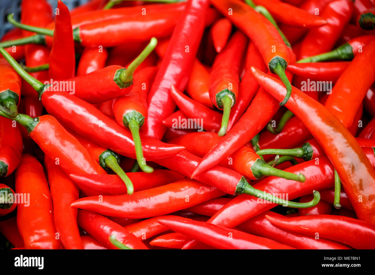 Gros piments, marché, Hoi An, Vietnam Banque D'Images