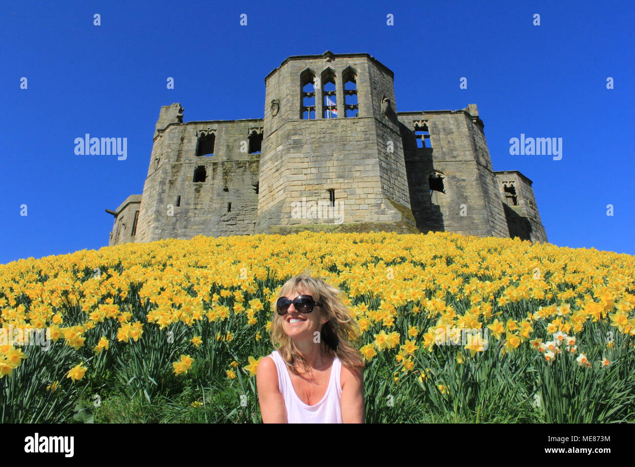 Northumberland, Royaume-Uni. 21 avril, 2018. Royaume-uni : Météo Météo jouissent de jonquilles au château de Warkworth comme heatwave continue à travers la Grande-Bretagne avec plus chaudes en avril de 70 ans. 21 avril, 2018. David Whinham/Alamy Live News Banque D'Images