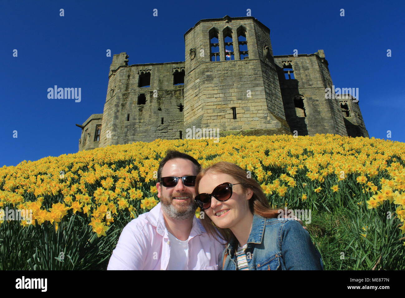 Northumberland, Royaume-Uni. 21 avril, 2018. Royaume-uni : Météo Météo jouissent de jonquilles au château de Warkworth comme heatwave continue à travers la Grande-Bretagne avec plus chaudes en avril de 70 ans. 21 avril, 2018. David Whinham/Alamy Live News Banque D'Images