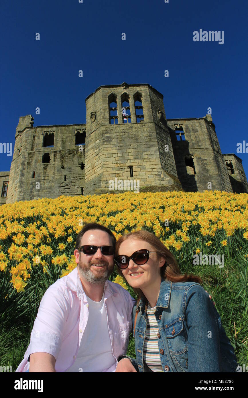 Northumberland, Royaume-Uni. 21 avril, 2018. Royaume-uni : Météo Météo jouissent de jonquilles au château de Warkworth comme heatwave continue à travers la Grande-Bretagne avec plus chaudes en avril de 70 ans. 21 avril, 2018. David Whinham/Alamy Live News Banque D'Images