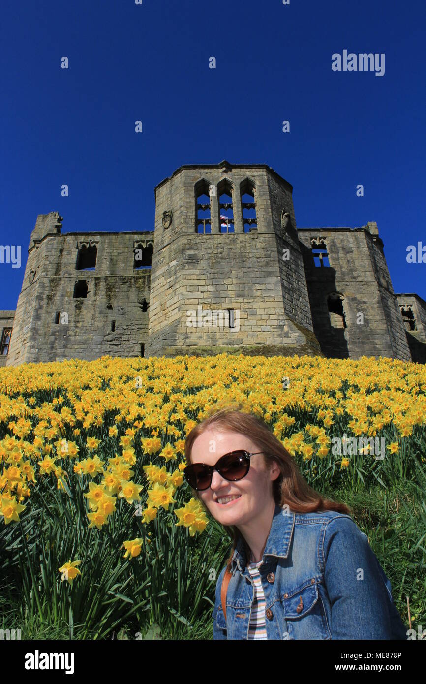 Northumberland, Royaume-Uni. 21 avril, 2018. Royaume-uni : Météo Météo jouissent de jonquilles au château de Warkworth comme heatwave continue à travers la Grande-Bretagne avec plus chaudes en avril de 70 ans. 21 avril, 2018. David Whinham/Alamy Live News Banque D'Images