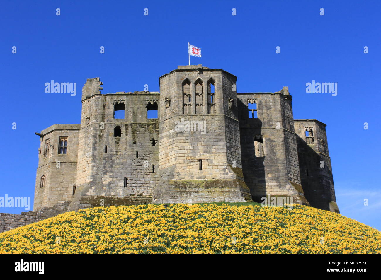 Northumberland, Royaume-Uni. 21 avril, 2018. Royaume-uni : Météo Météo jouissent de jonquilles au château de Warkworth comme heatwave continue à travers la Grande-Bretagne avec plus chaudes en avril de 70 ans. 21 avril, 2018. David Whinham/Alamy Live News Banque D'Images